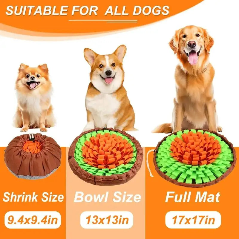 Sniff & Lick Enrichment Kit for Dogs: Snuffle Mat + Lick Mat